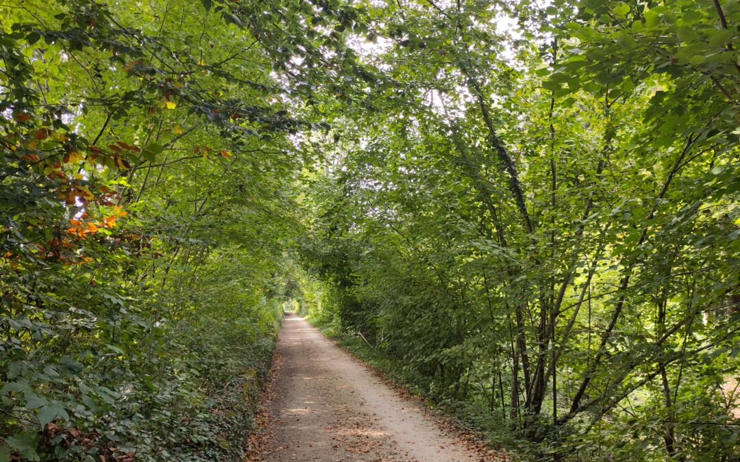 29.09.2026, Probewandern