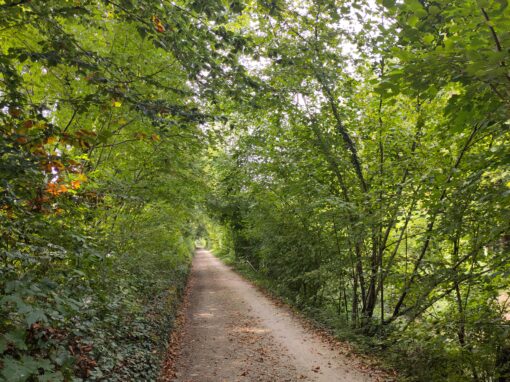 29.09.2026, Probewandern 29.09.2026, Probewandern