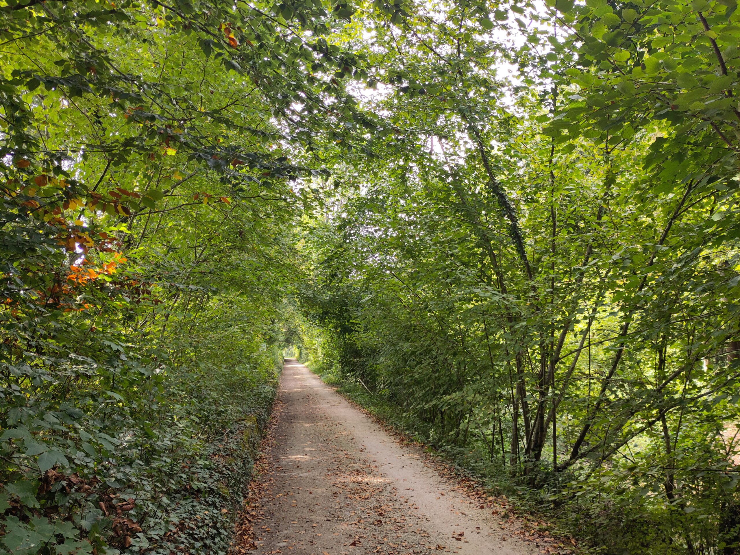 29.09.2026, Probewandern