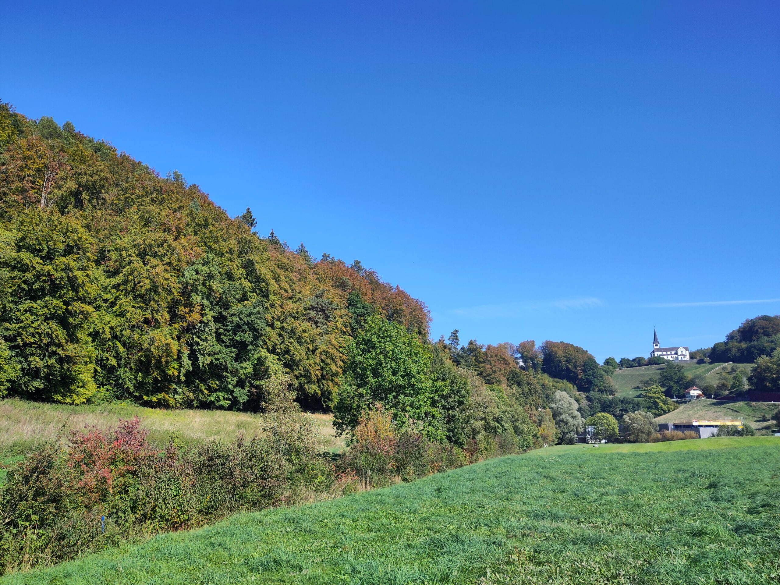 IMG_20261006_143155