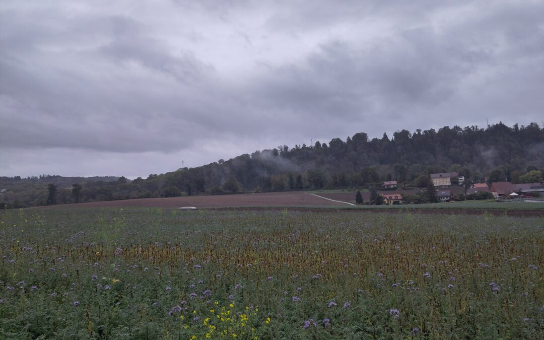 08.10.2026, Curtilles bis Montpreveyres