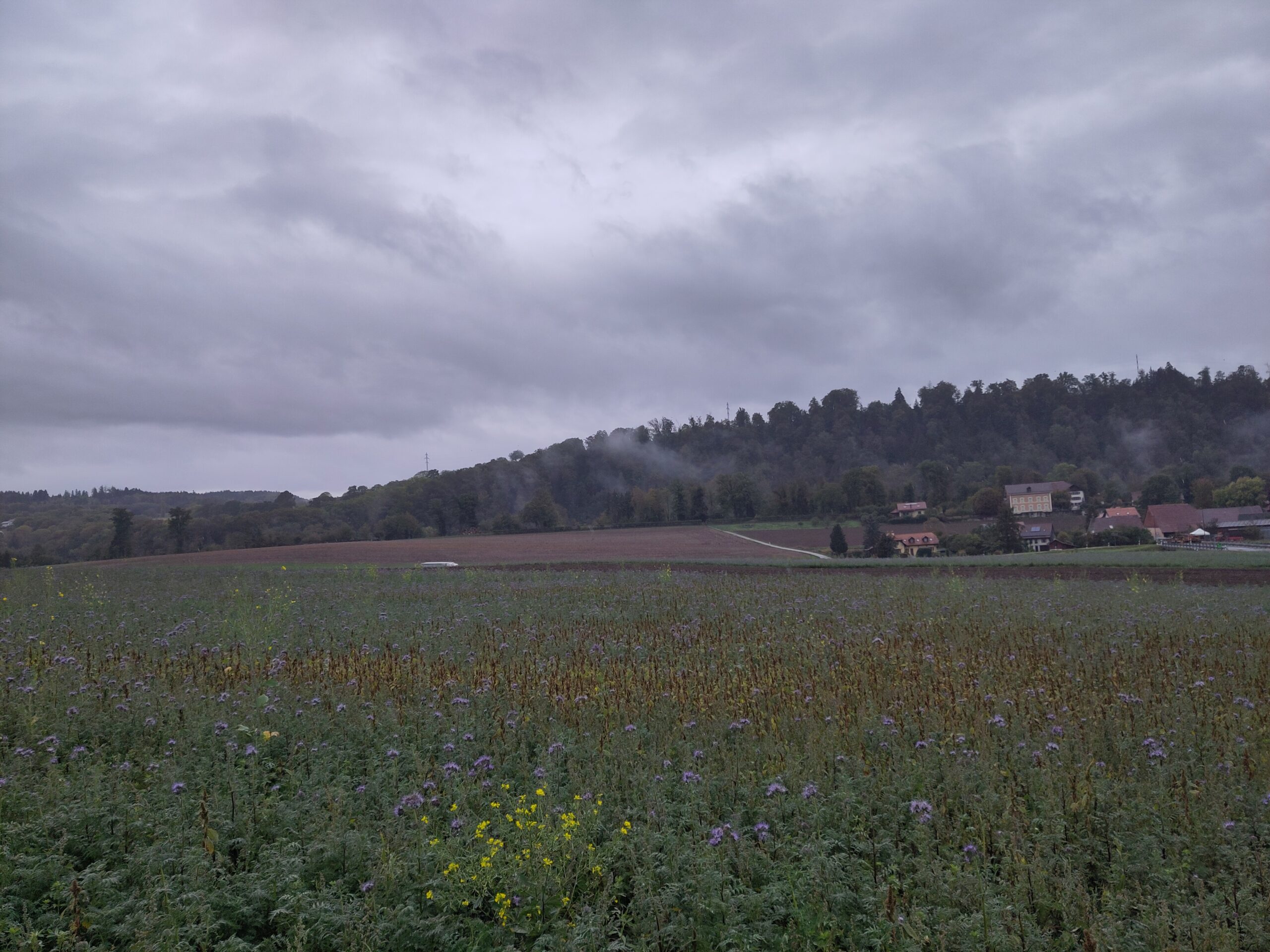 08.10.2026, Curtilles bis Montpreveyres