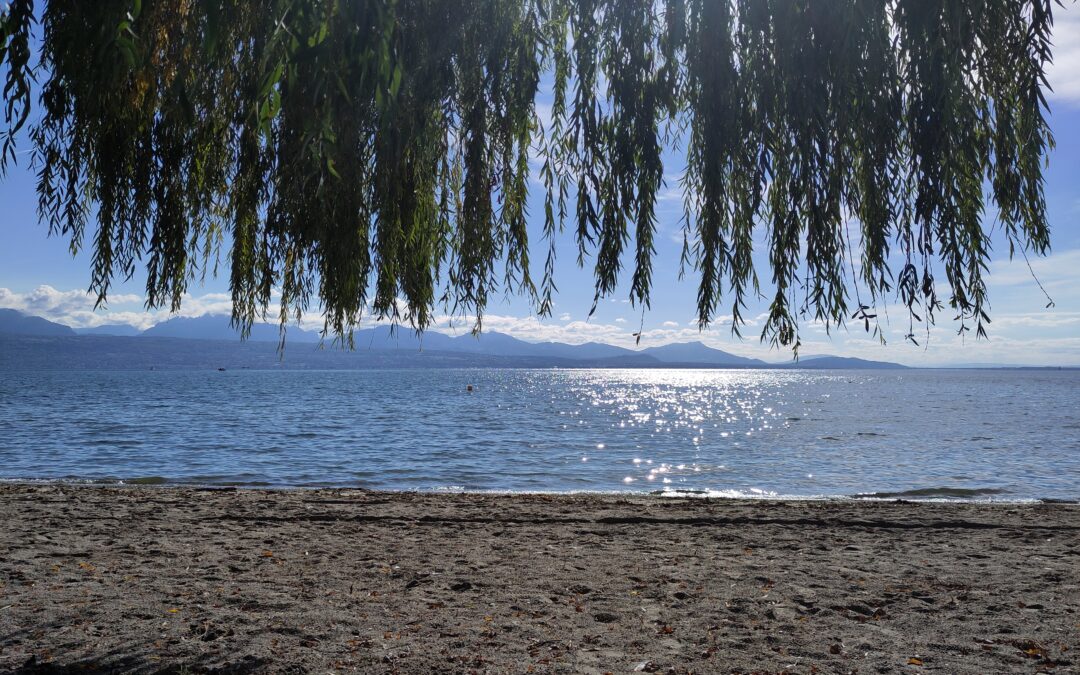 09.10.2026, Montpreveyres bis Morges