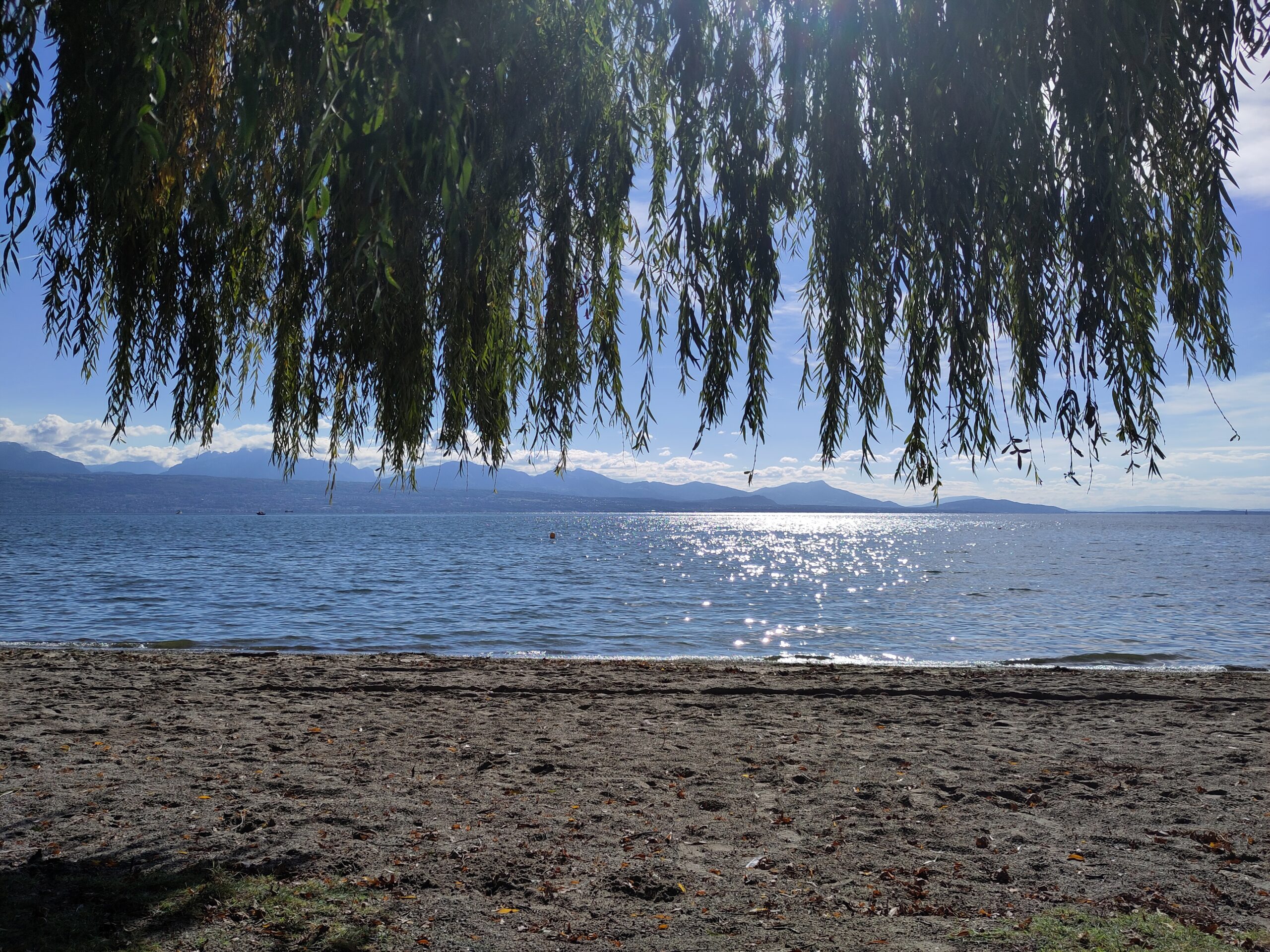 09.10.2026, Montpreveyres bis Morges