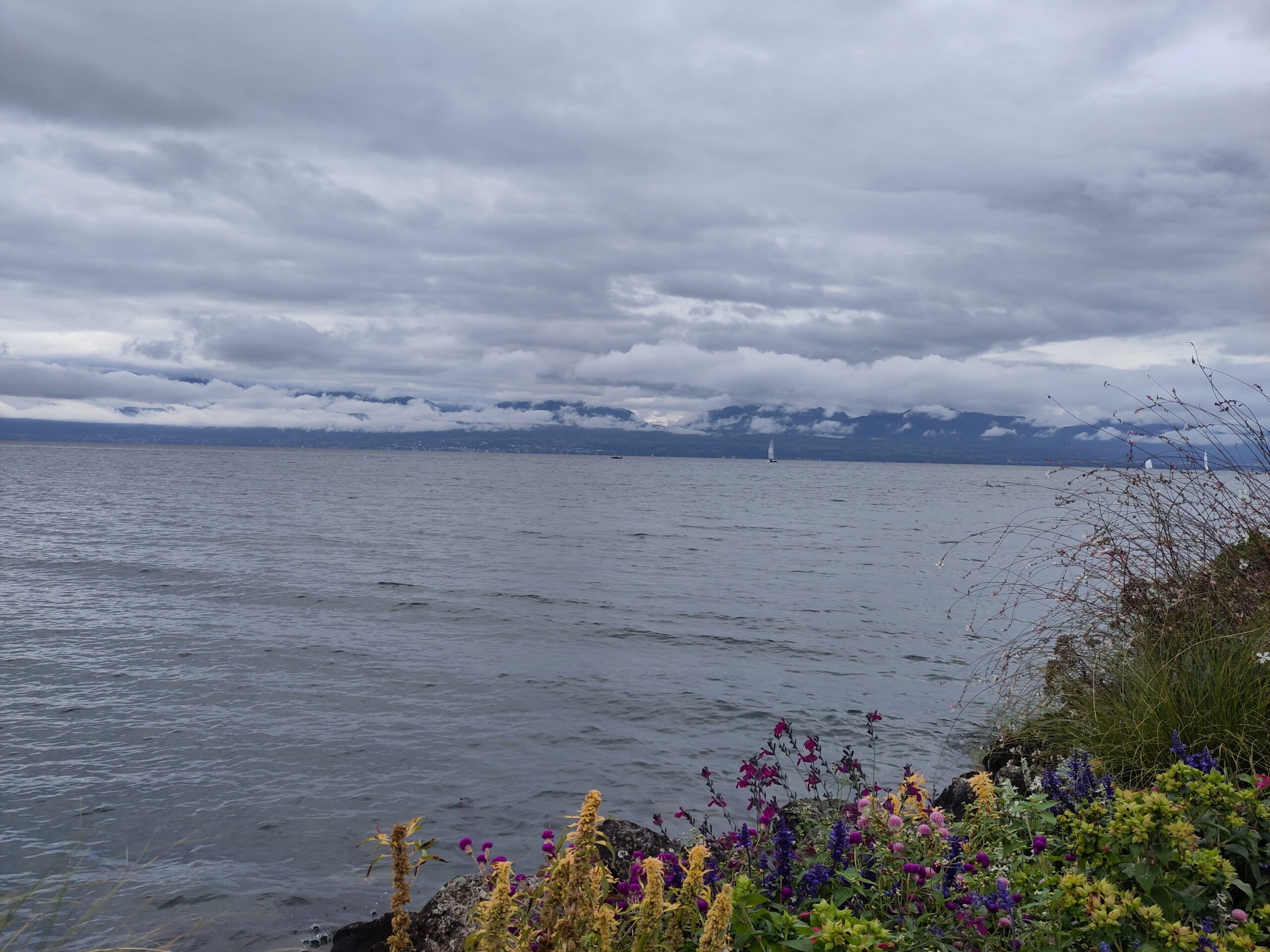 IMG_20261010_095634