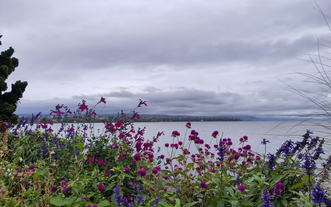 10.10.2026, Morges bis Gland