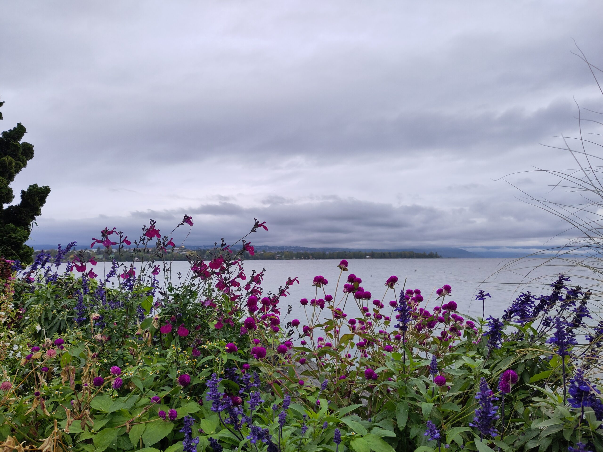10.10.2026, Morges bis Gland